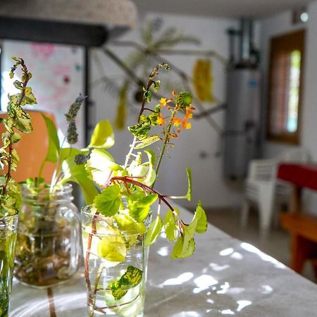Eiru Hostel Santa Rosa de Calamuchita Zewnętrze zdjęcie
